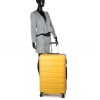Валіза Франція велика L жовта 76х49х30см/95л/4.12кг/Worldline 626, фото 20