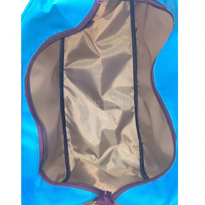 Сумка(ручна поклажа) Польща синя 40х30х20см/24л/0.5кг/Fly 0234, фото 5